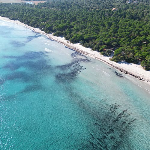 Plage de la Pinède - Pinarellu